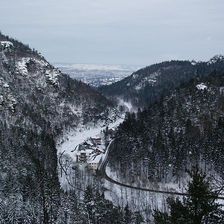 Wohlfuehlzeit Im Zittauer Gebirge Apartment Екстериор снимка