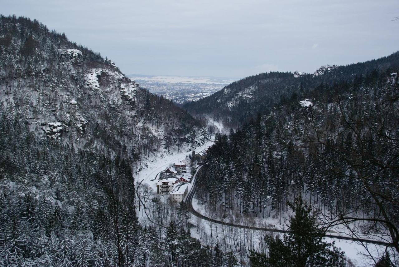 Wohlfuehlzeit Im Zittauer Gebirge Apartment Екстериор снимка