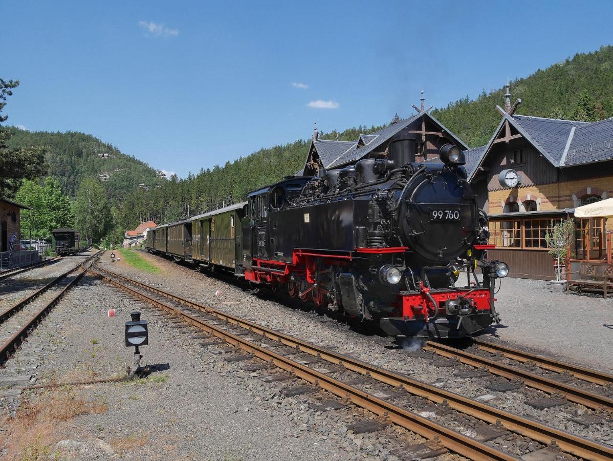 Wohlfuehlzeit Im Zittauer Gebirge Apartment Екстериор снимка